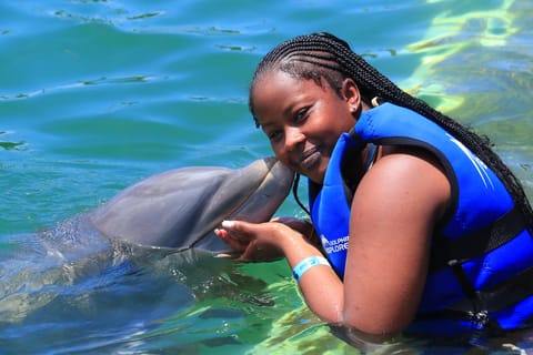 Interaction avec un dauphin