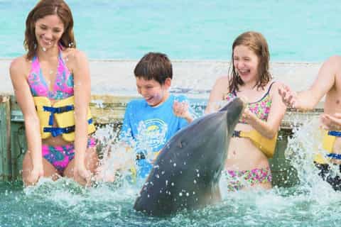 Deux dauphins à Punta Cana