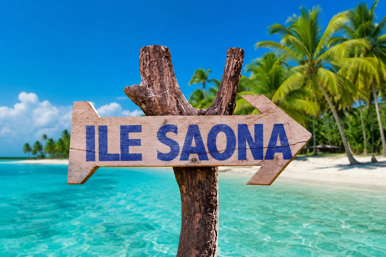 Petit groupe pendant l'excursion Saona VIP