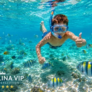 Nager avec les dauphins à Punta Cana