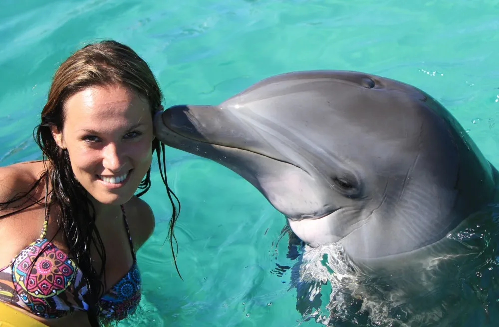 Nage avec les dauphins à Punta Cana