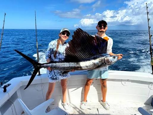 Marlin